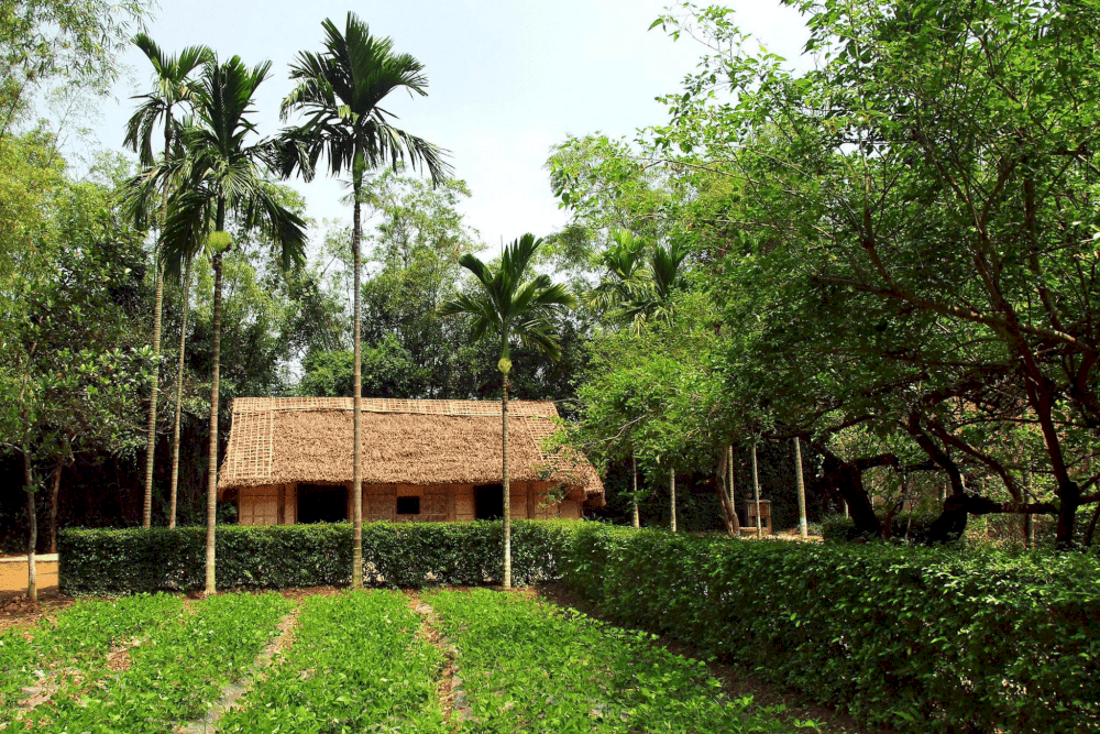L&agrave;ng Sen qu&ecirc; B&aacute;c - nơi bạn trở về với k&yacute; ức của Chủ tịch Hồ Ch&iacute; Minh. (Nguồn: Khu Di T&iacute;ch Kim Li&ecirc;n - Di T&iacute;ch Quốc Gia Đặc Biệt)